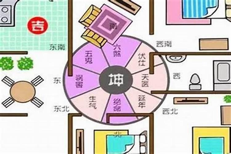 家装风水活水怎么做的好？