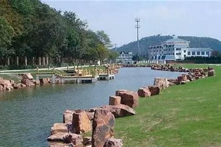 怎么利用水来改善家居风水问题