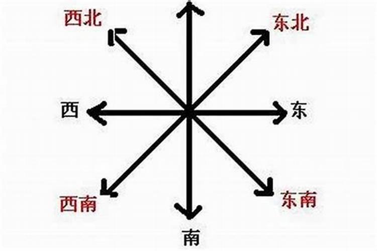 肖兔人死后在东南西北中能埋哪个方向？