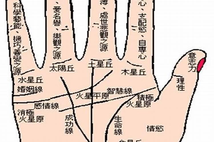 手相上看风水怎么看的？
