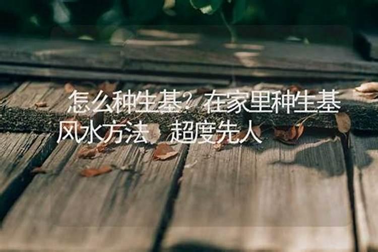 在家里可以种生基吗？风水方法有哪些？