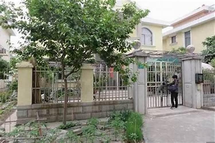 住宅门前栽什么树最好(房子房屋门口种什么树旺家风水好)