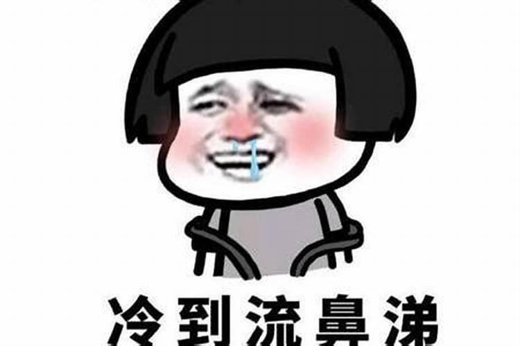 这个是什么？