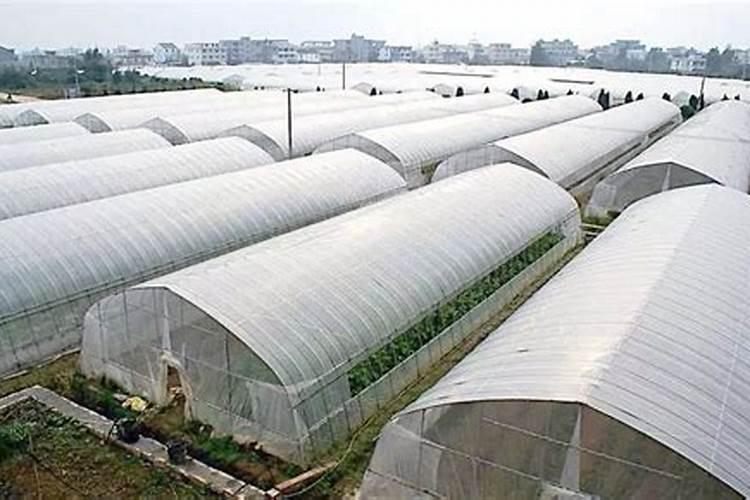 怎样看温室大棚与住宅房屋的吉凶
