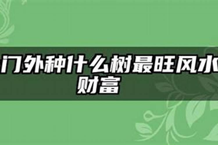大门外种什么树最旺风水财富？