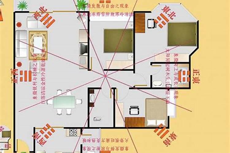 坐北向南的坐向收什么宅