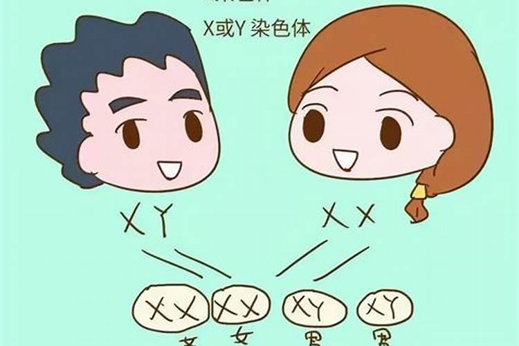 生男生女到底由谁来决定