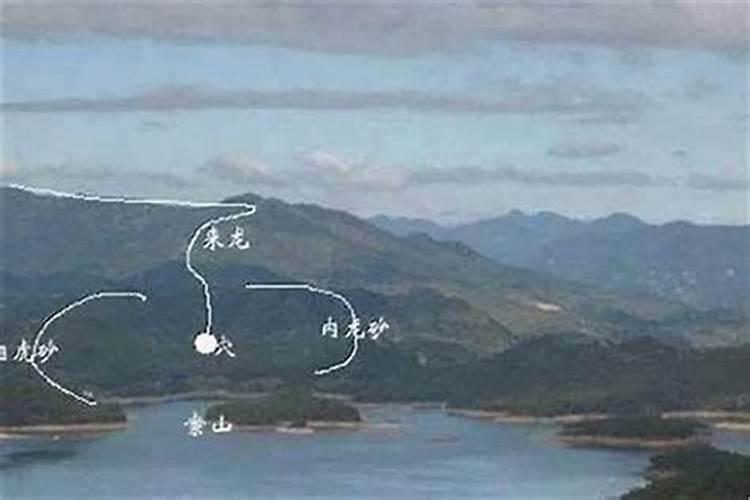 买房后风水先生说怀孕是女孩