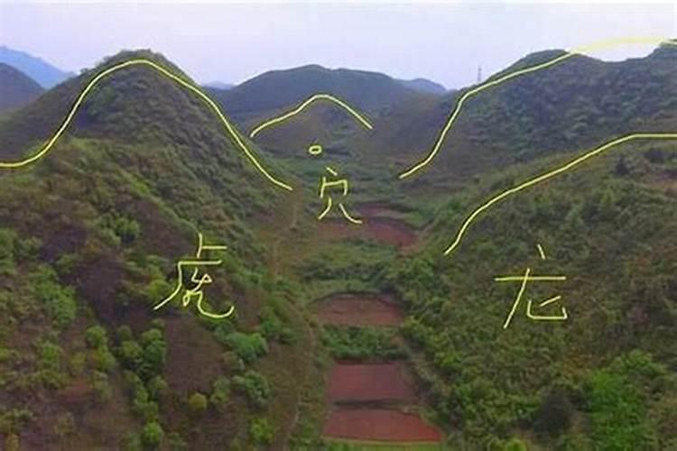 淅川有没有风水师？