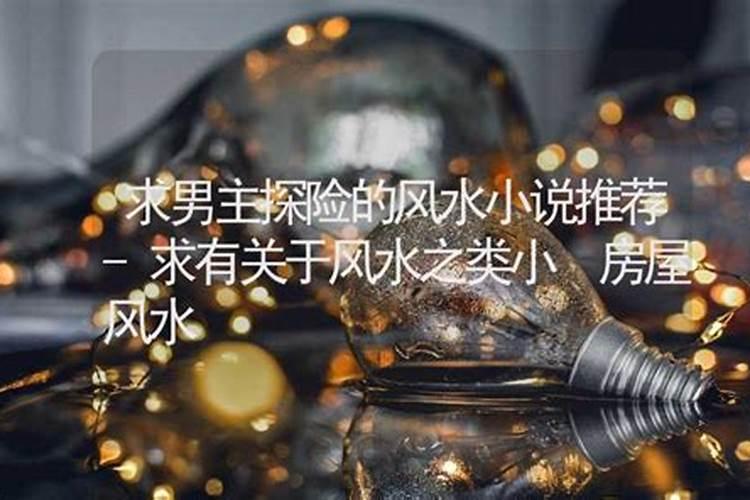 求有关于风水之类小说20本以上给好评