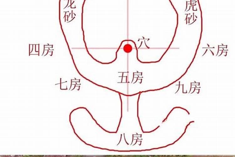 风水屋场房份位置分配