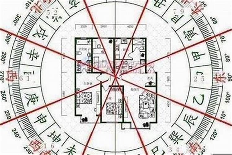 牛跟羊看风水怎么看的呢？