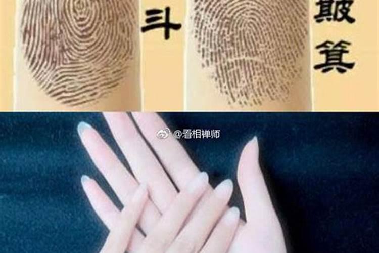 手指没罗者