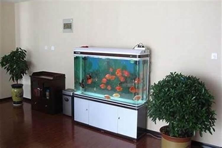 门口怎样做鱼缸风水好？