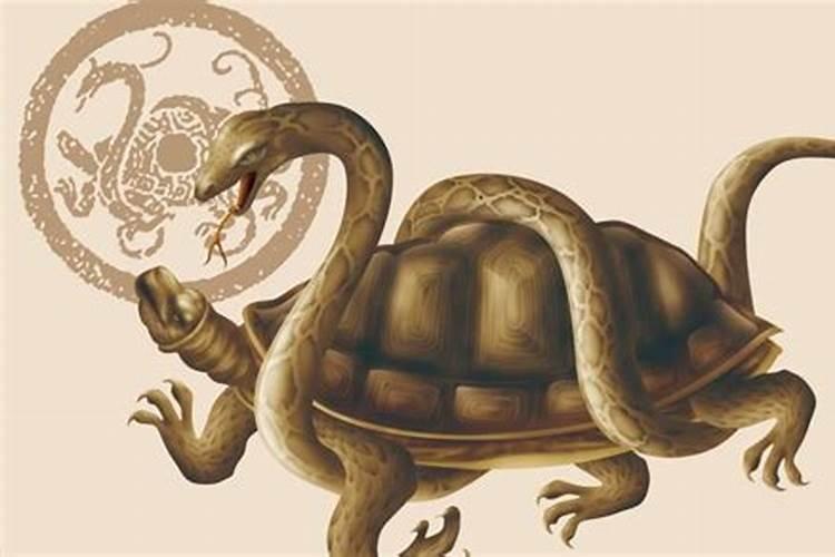 北方玄武是什么？
