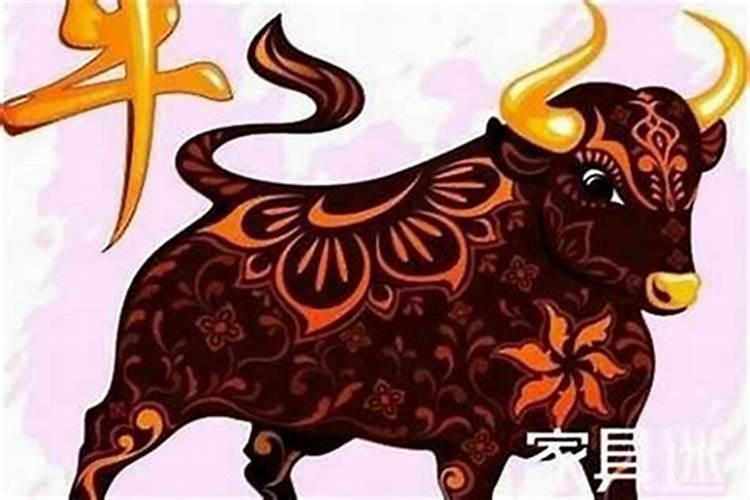 牛水什么生肖最旺财