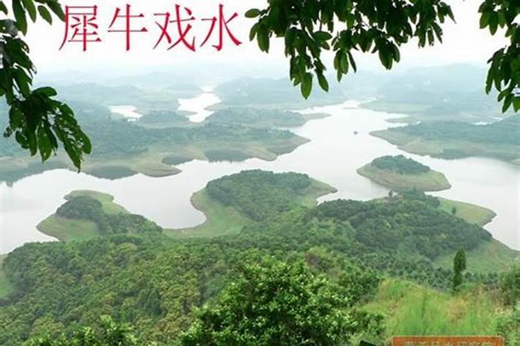 犀牛戏水的风水怎看就行