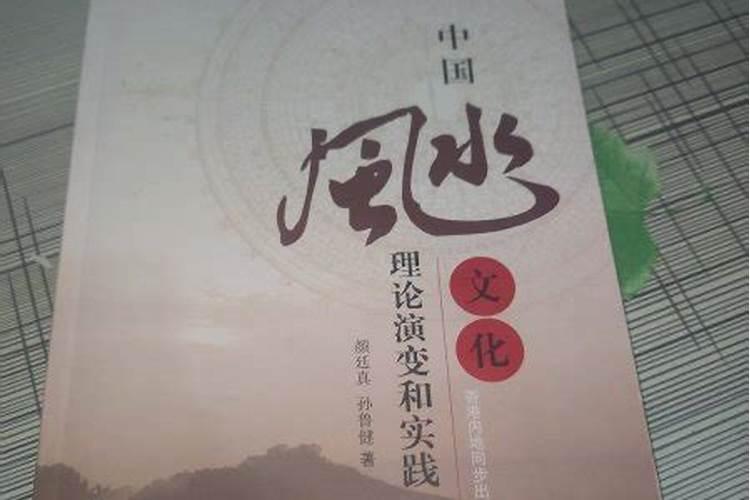 颜廷真和孙鲁健在风水文化领域的研究和实践各有哪些成果？