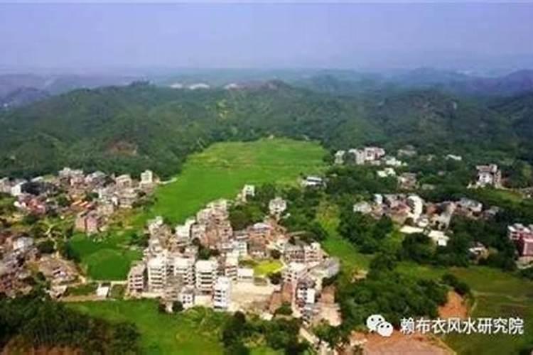 风水大师本地姜的故事,高州风水大师文超良简介
