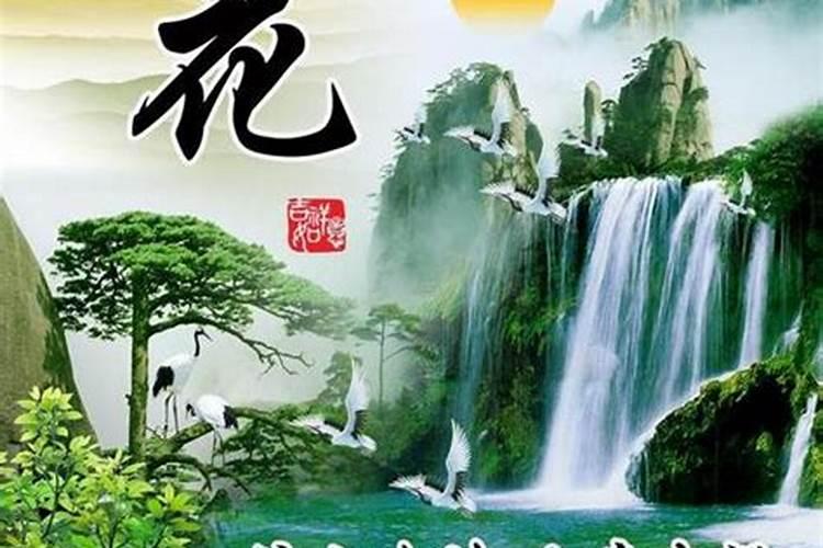 好风水的名字