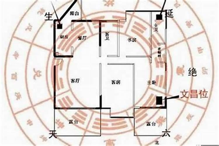 能提升职场贵人运的风水布局