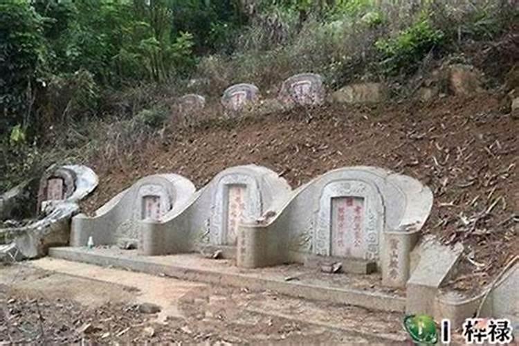 墓地风水有科学依据吗,墓地风水可信吗？