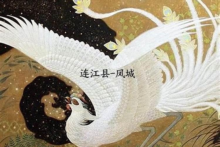 睢县为什么被称为凤城