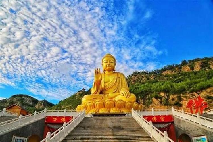 伊山大佛风水局在哪？
