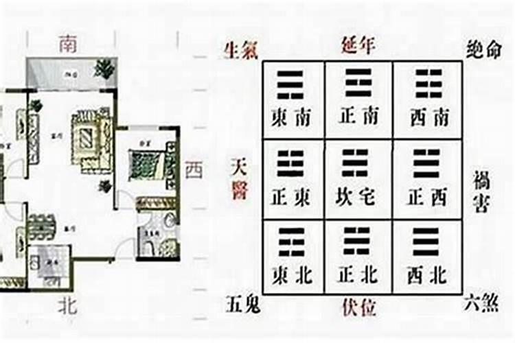 花园青龙位怎么布局风水？