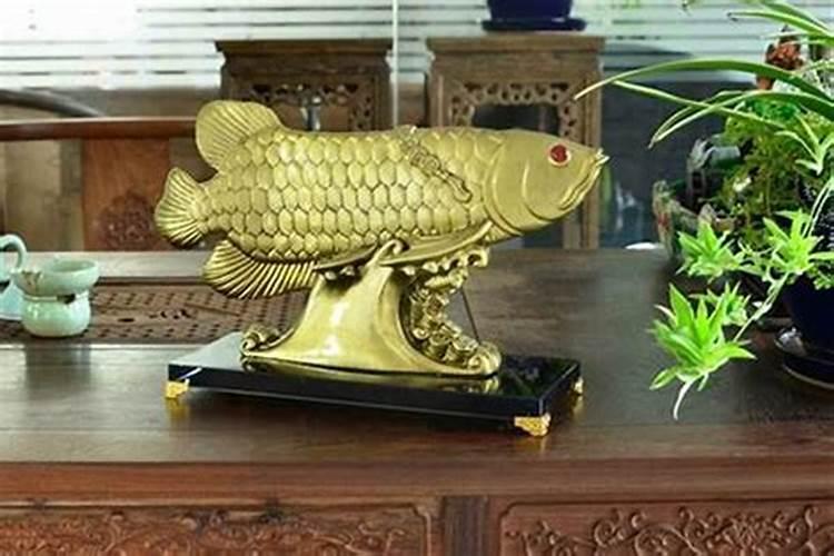 招财风水鱼都有哪些品种,风水鱼有哪几种风水鱼的含义
