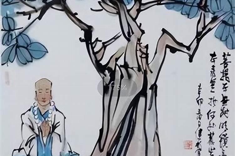 烦恼即菩提,菩提树在佛界的意义是什么？