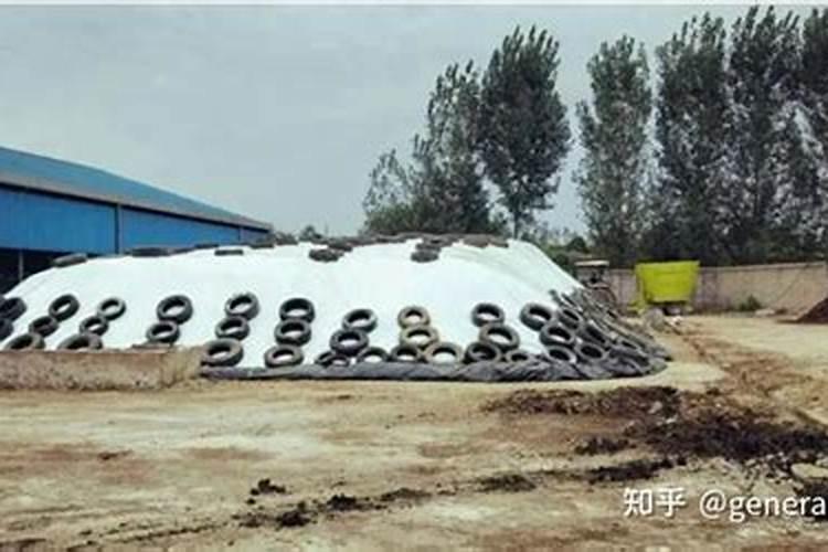 风水上青贮窖建在房子西南方可以吗？