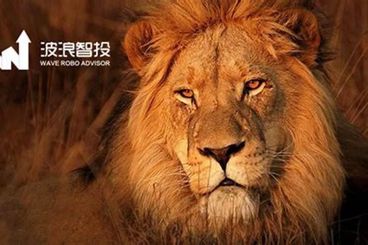 杂烩饭:成就富翁的赚钱八大定律