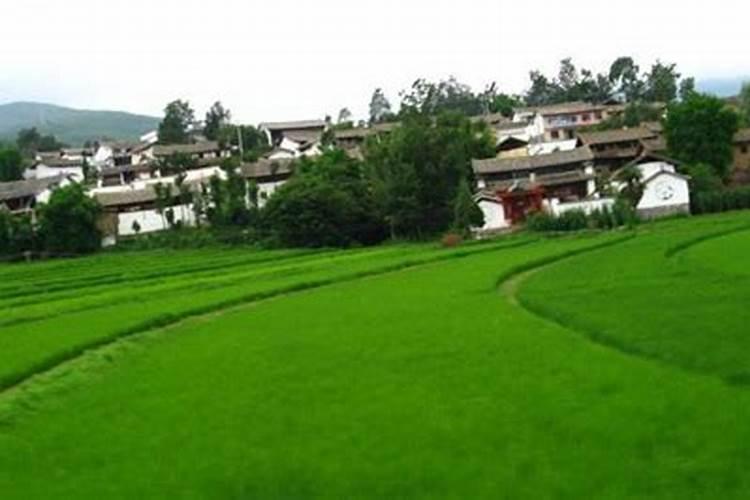 我家房子后面是田块,请问大师好不好