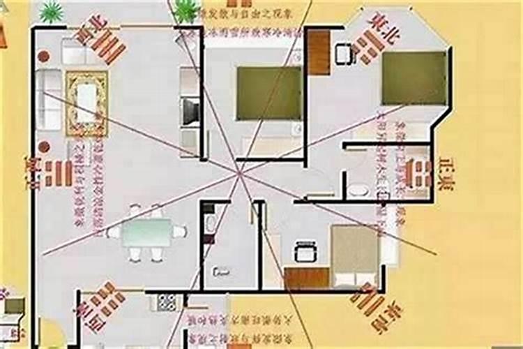 房子放什么聚财最好最旺财
