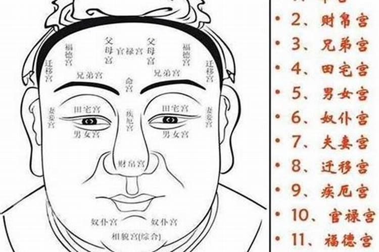 面相能否看得出祖坟风水相理吗？
