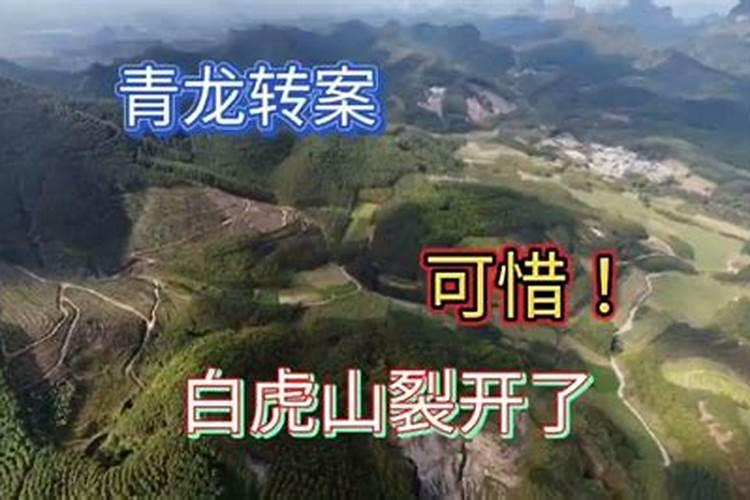 阴宅青龙白虎环抱案山好不好？