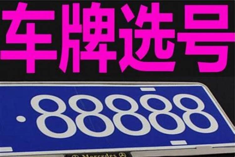 风水大师选车号怎么选的？
