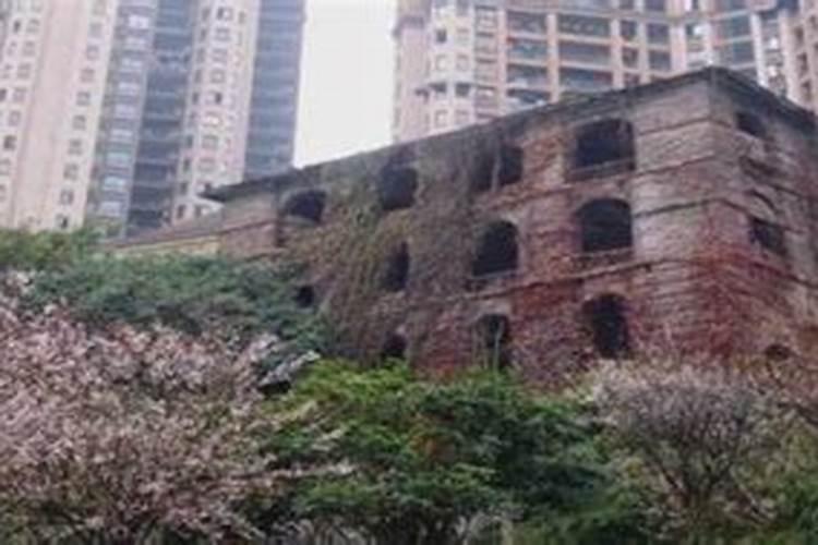 窗前有建筑物遮挡好吗