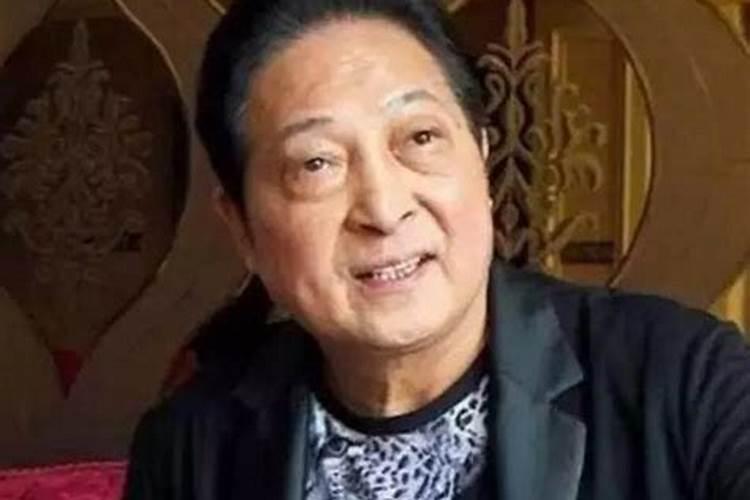 风水大师王琳南阳人是谁？