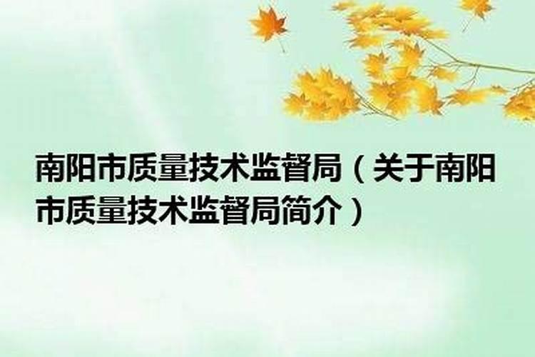 南阳市质量技术监督局领导班子