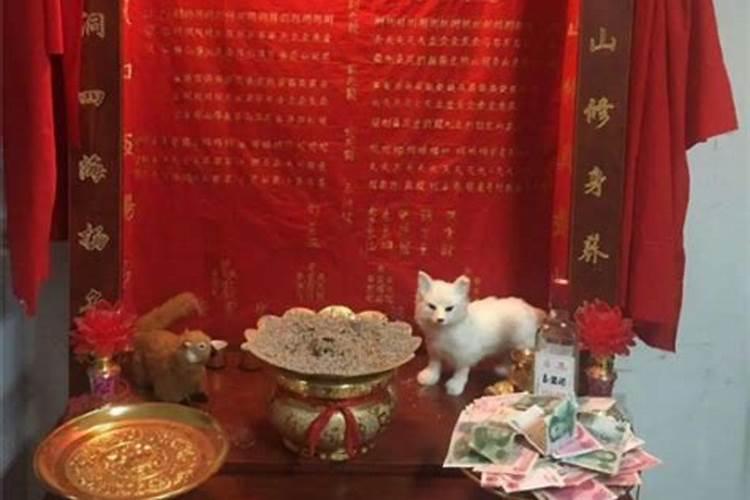 堂口的类别