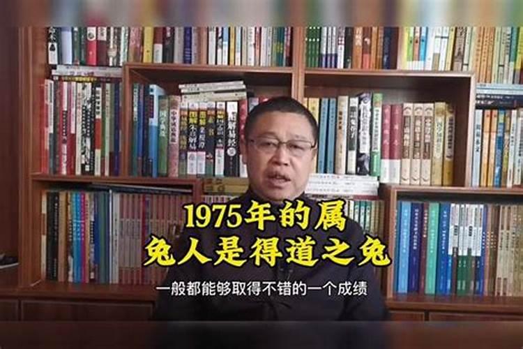 得道之兔是什么意思