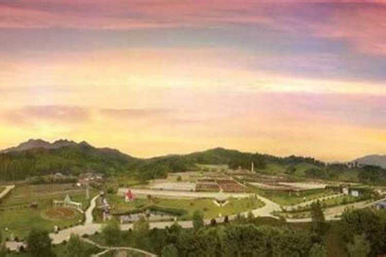 江南陵园和睡佛佳龙园比,哪个墓地好