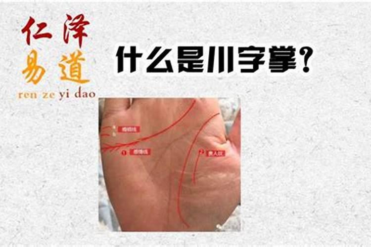 川字掌是什么？