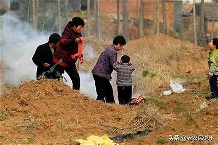 坟前为什么不能种花