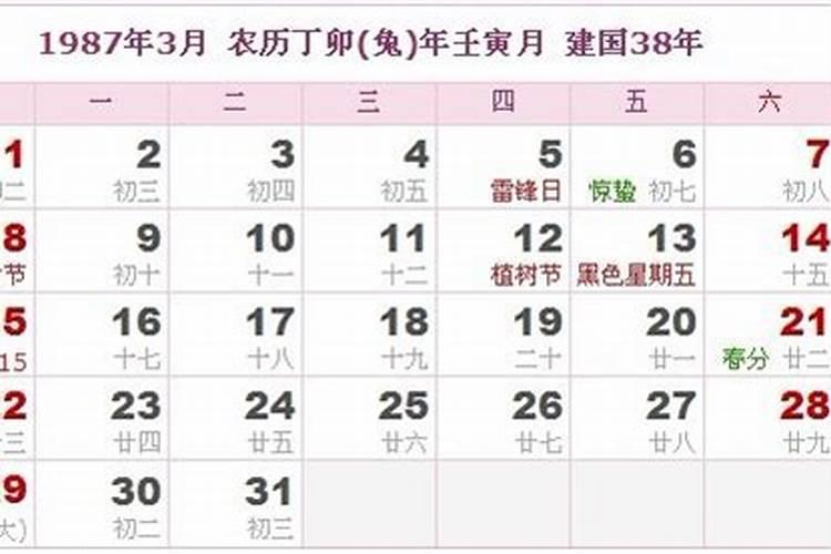 新历1987年2月26日已时出世,想请问各大师此女子命格如何!？
