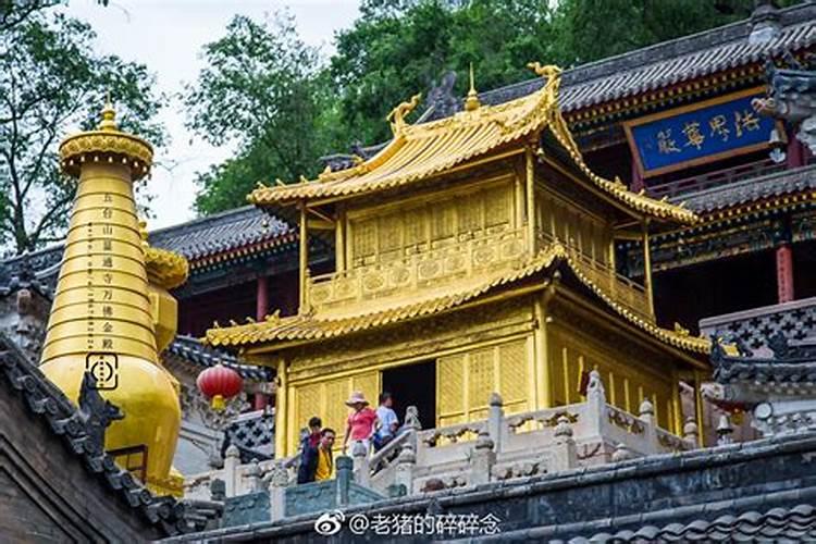 有关五台山显通寺的介绍