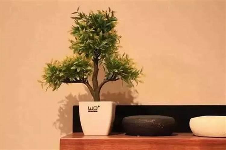 不可乱用风水道具使用千万要小心