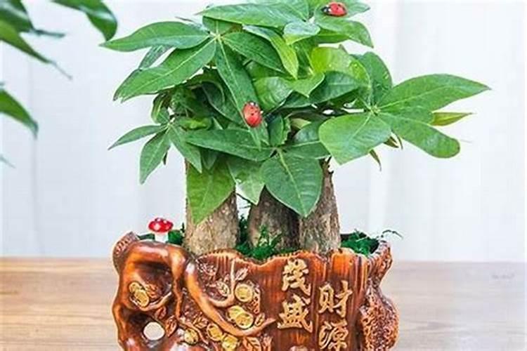 能够招财的风水小物件